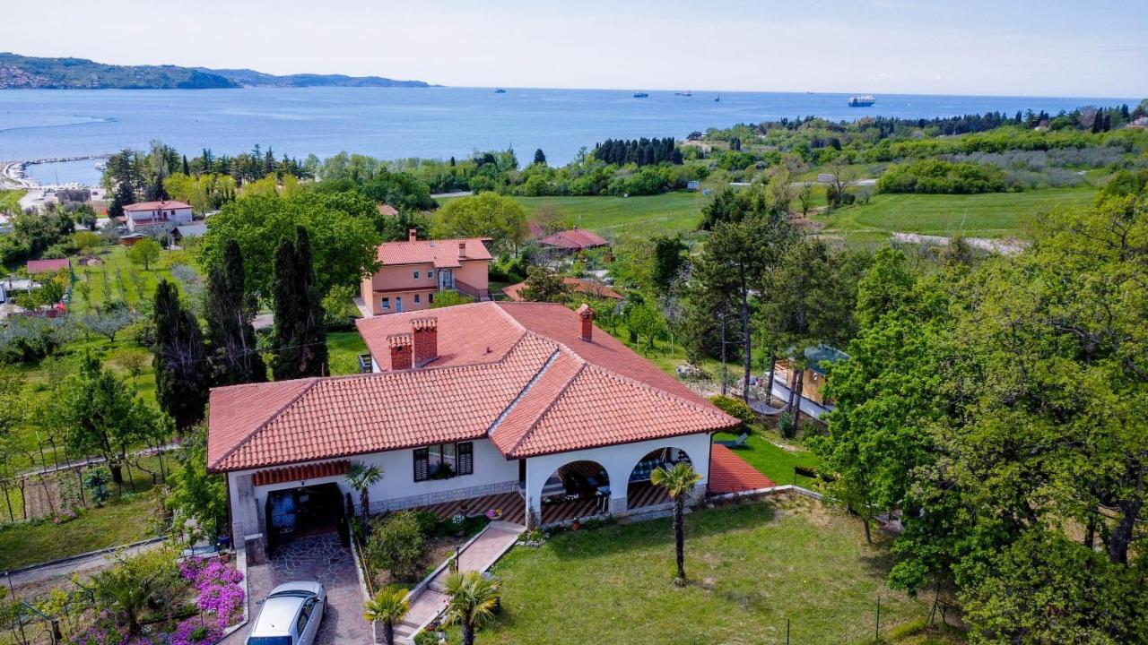 Active Chillax Oasis Apartments Анкаран Екстериор снимка