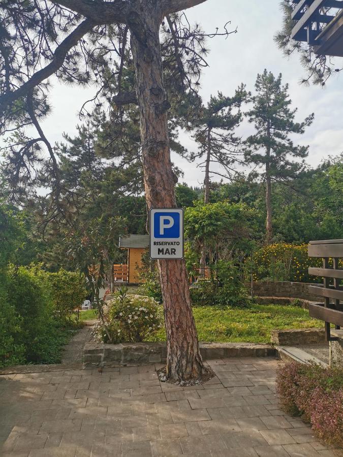 Active Chillax Oasis Apartments Анкаран Екстериор снимка